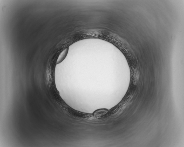 X0000100911394200807220941