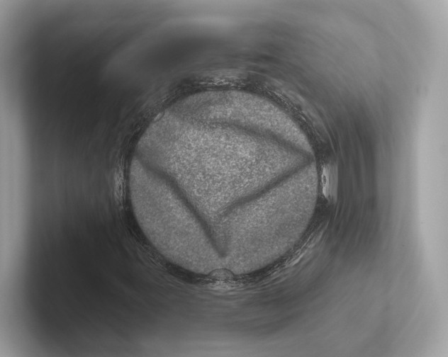 X0000100911395200807220941