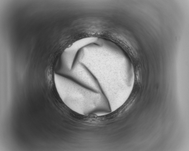 X0000100911396200807220941