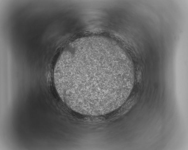 X0000100911397200807220941