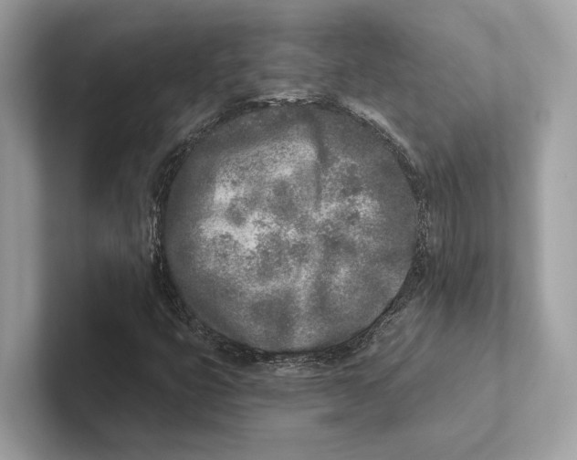 X0000100911399200807220941