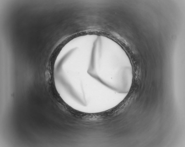 X0000100911400200807220941