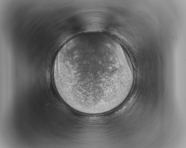 X0000100911401200807220941