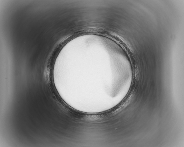 X0000100911402200807220941