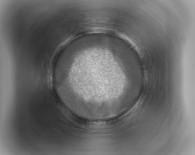 X0000100911403200807220941