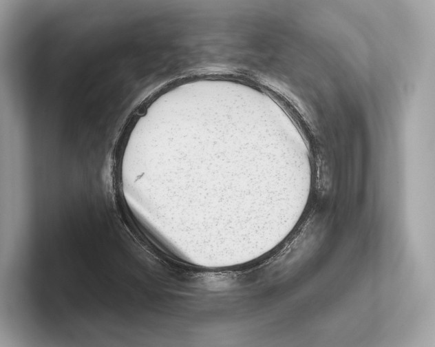 X0000100911404200807220941