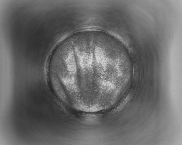 X0000100911405200807220941