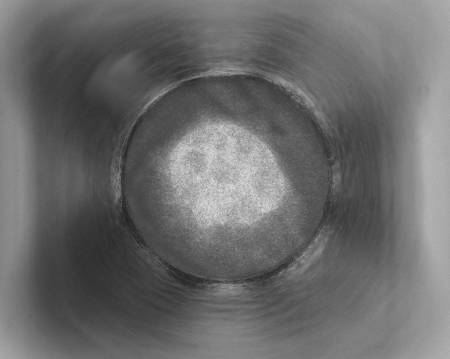 X0000100911409200807220941