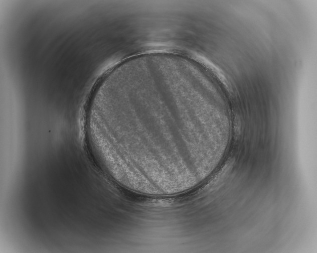 X0000100911411200807220941