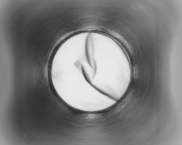 X0000100911412200807220941