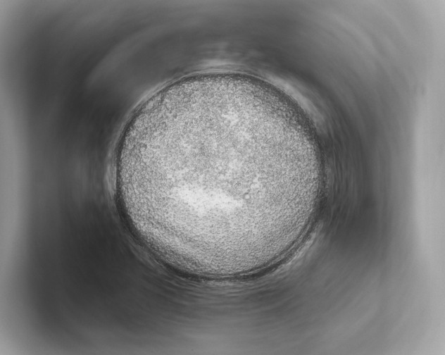 X0000100911413200807220941