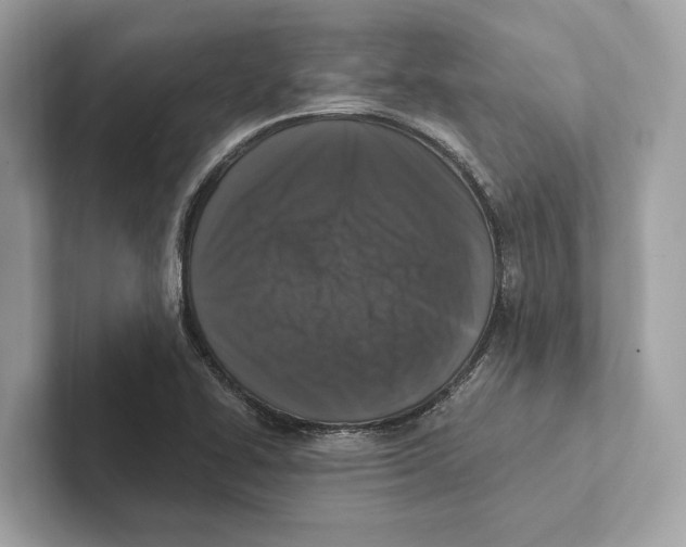 X0000100911414200807220941