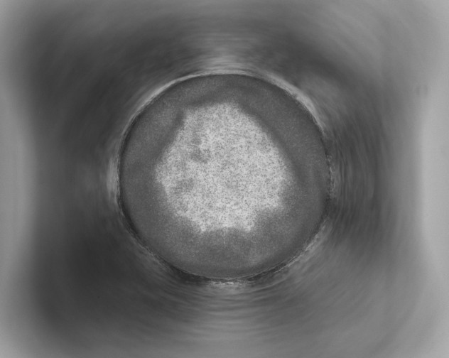 X0000100911415200807220941