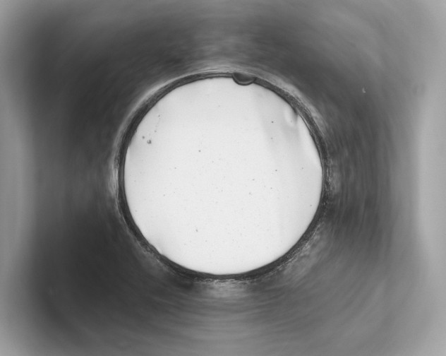 X0000100911416200807220941