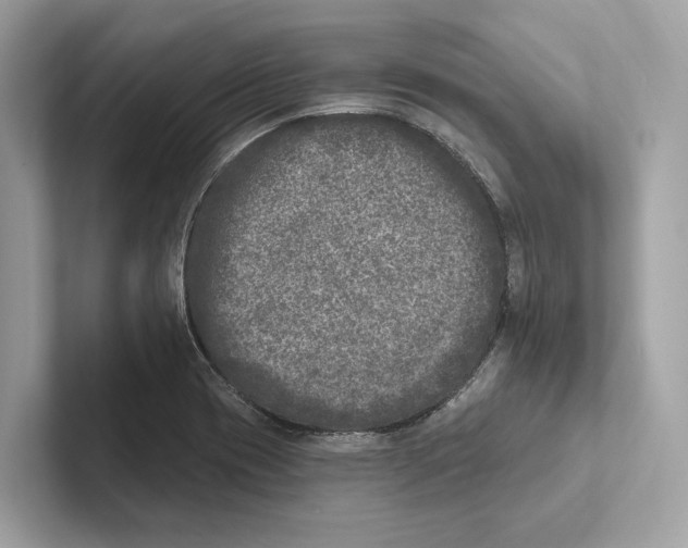 X0000100911417200807220941