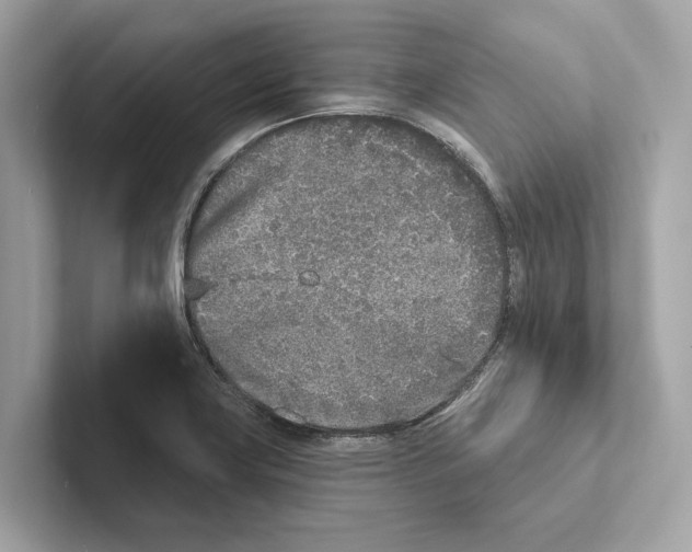 X0000100911419200807220941