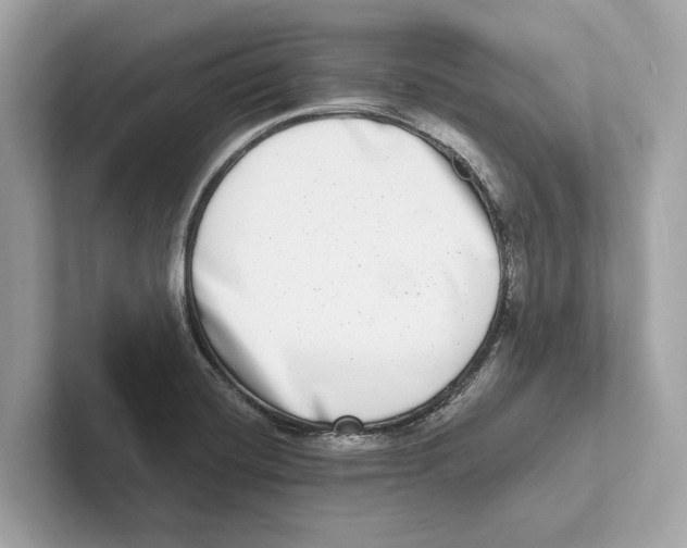 X0000100911420200807220941