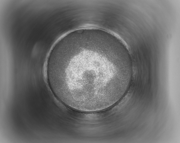 X0000100911421200807220941