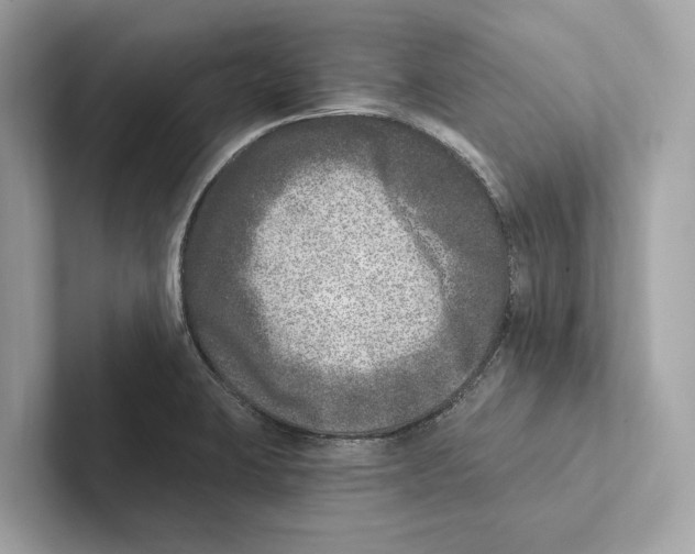 X0000100911423200807220941