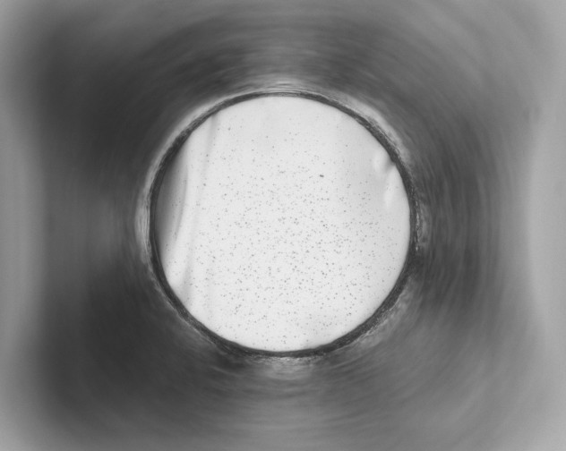 X0000100911424200807220941