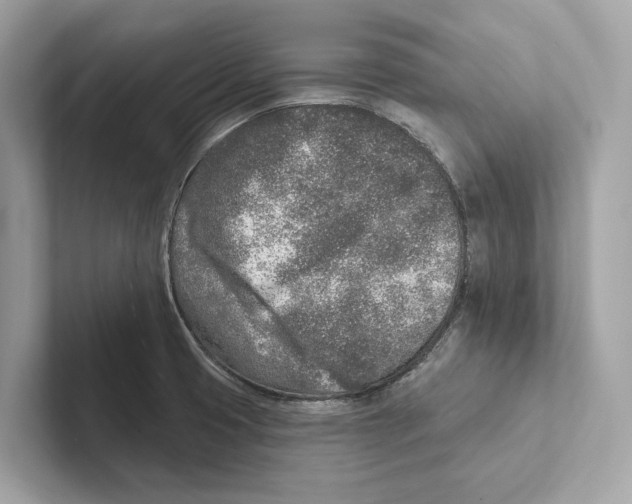 X0000100911425200807220941