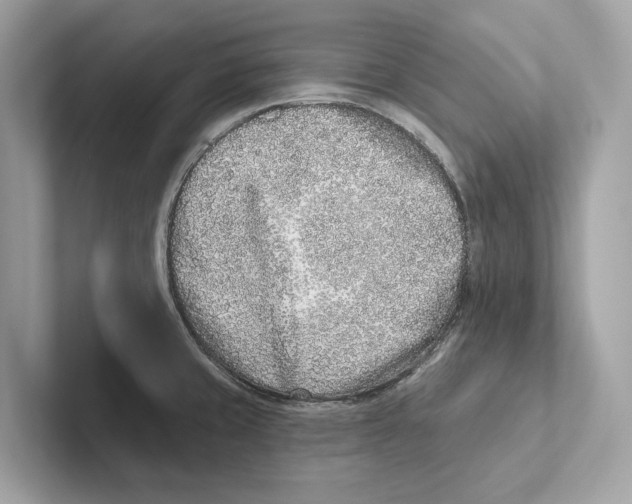 X0000100911429200807220941