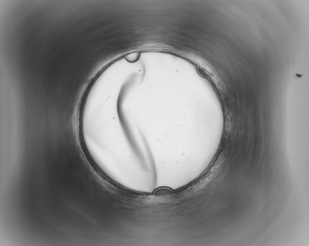 X0000100911430200807220941