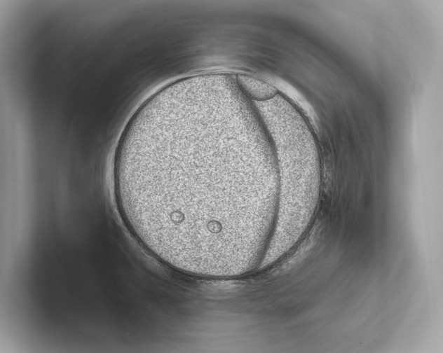 X0000100911431200807220941