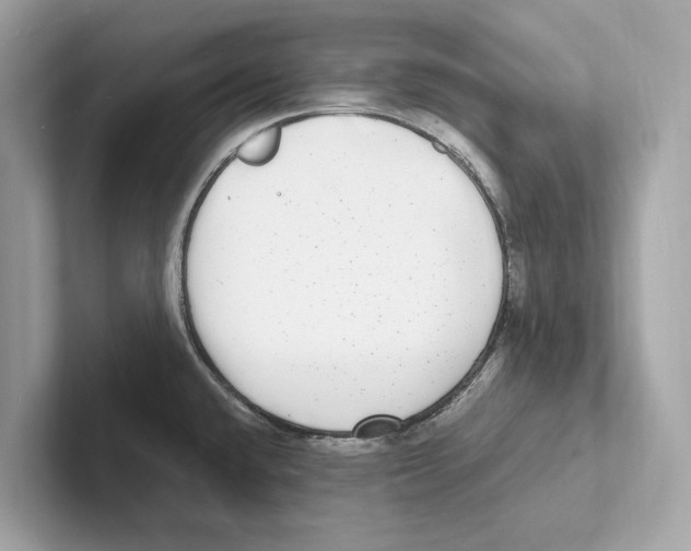 X0000100911432200807220941