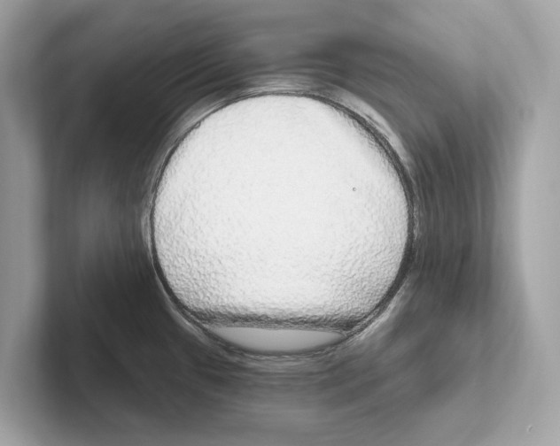 X0000100911433200807220941