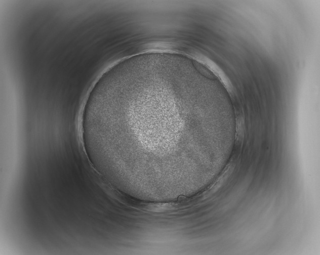 X0000100911435200807220941