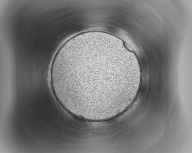 X0000100911436200807220941