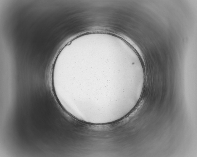 X0000100911437200807220941