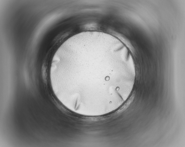 X0000100911438200807220941