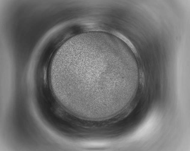 X0000100911439200807220941