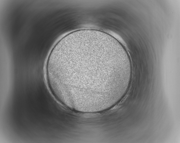 X0000100911440200807220941