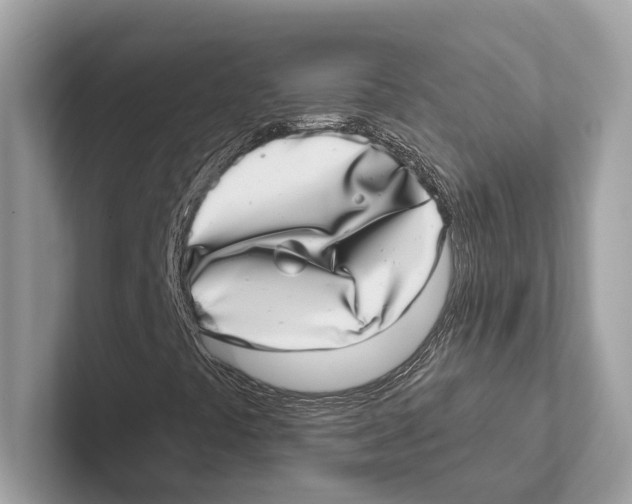 X0000100911441200807220941