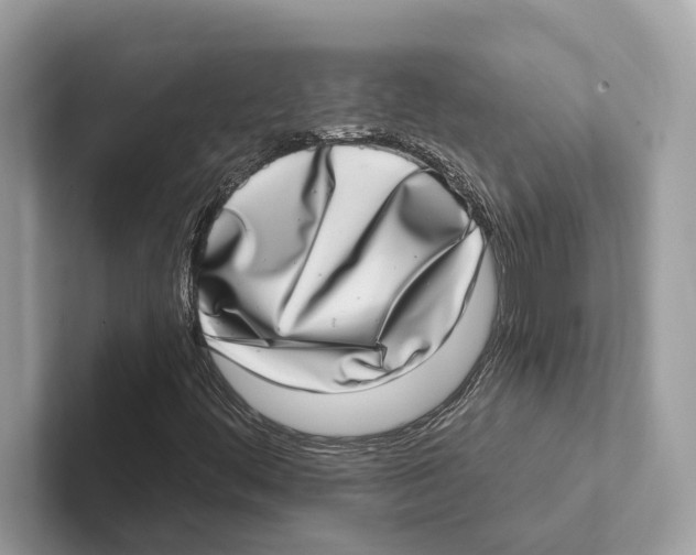 X0000100911444200807220941