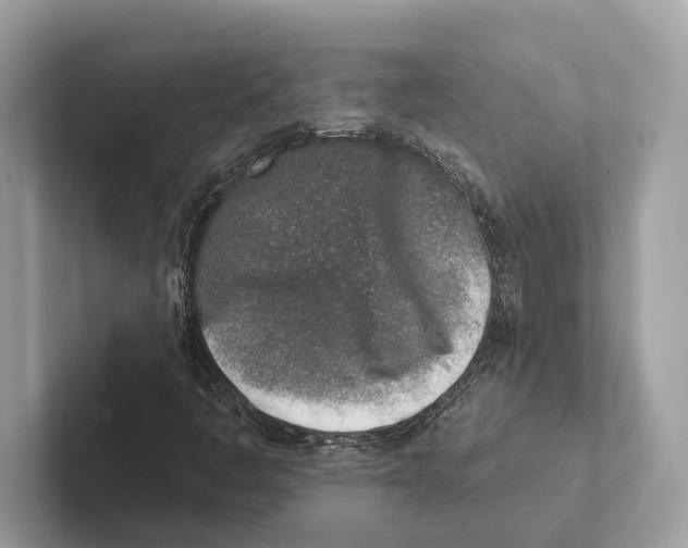 X0000100911445200807220941