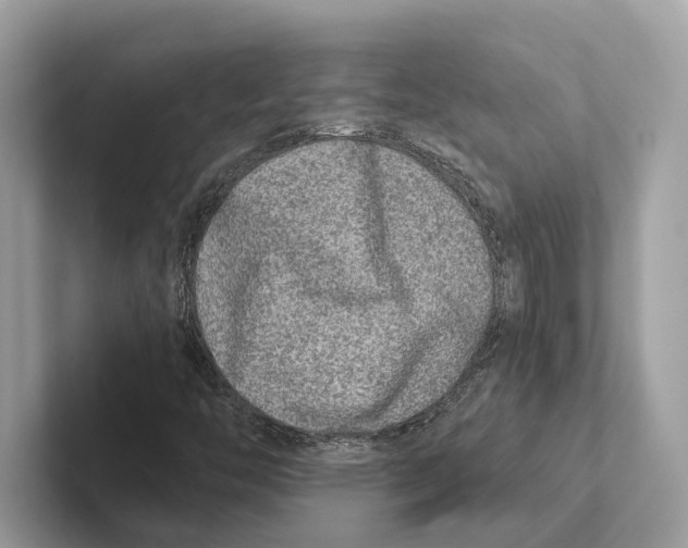 X0000100911446200807220941