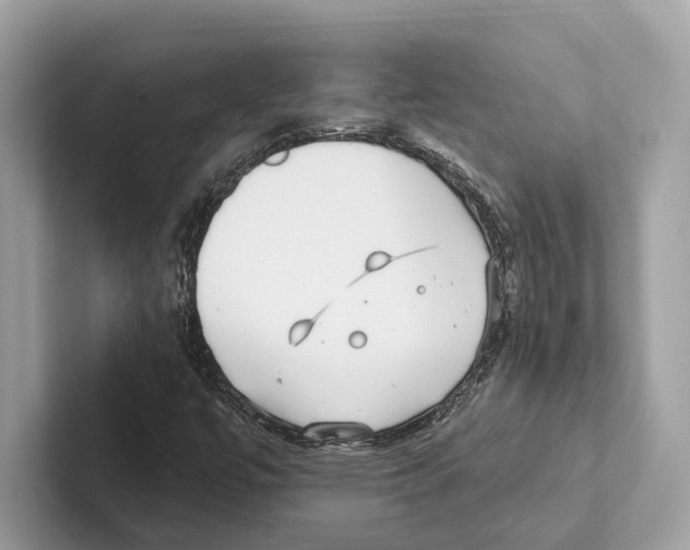 X0000100911447200807220941