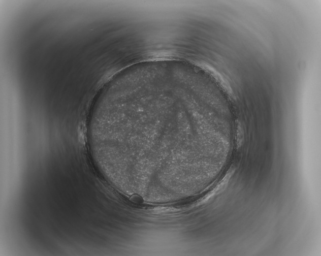 X0000100911449200807220941