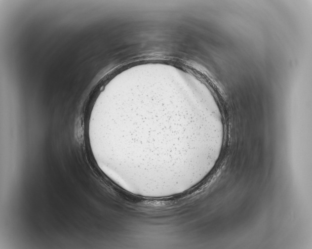 X0000100911450200807220941