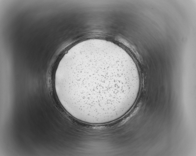 X0000100911453200807220940