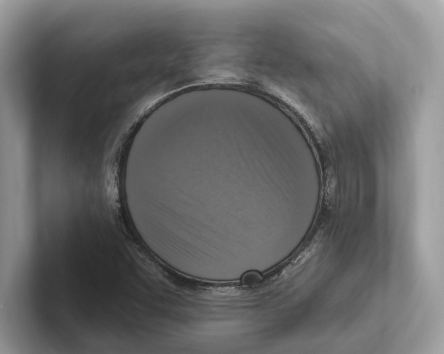 X0000100911455200807220940