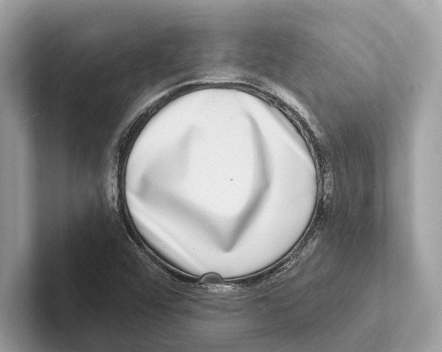 X0000100911456200807220940