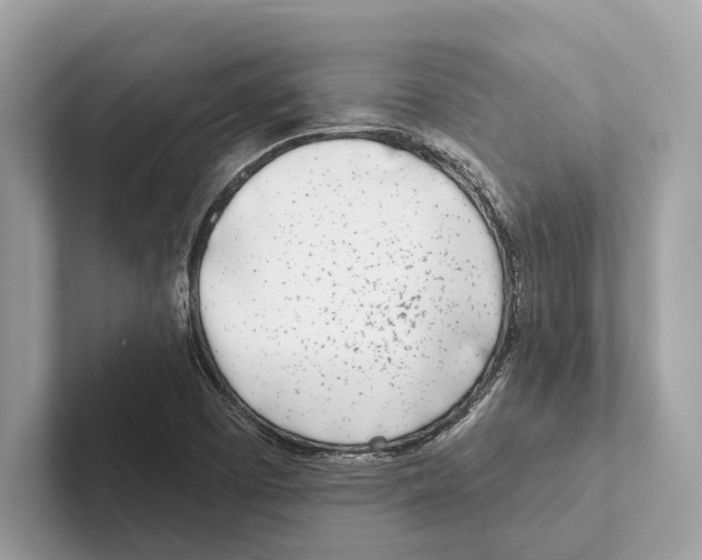 X0000100911457200807220940