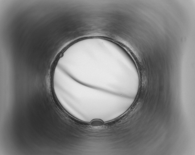 X0000100911460200807220940