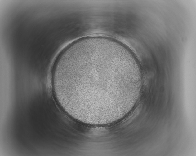 X0000100911462200807220940