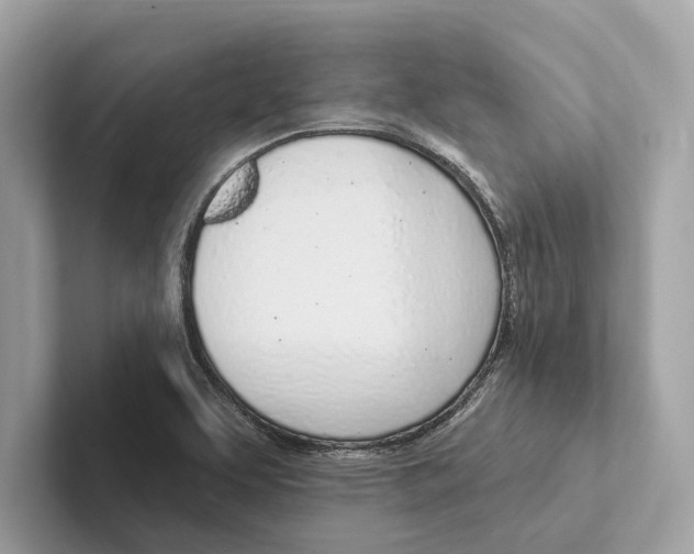 X0000100911463200807220940